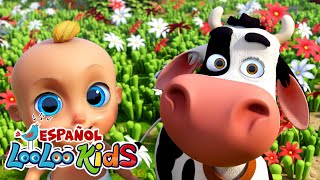 🐮 quotLa Vaca Lolaquot y Clásicos Infantiles 🎈🕒  Música y Diversión por 1 Hora con LooLoo Kids [upl. by Edniya14]