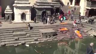 Pashupatinath Temple  Kathmandu Nepal [upl. by Renruojos]