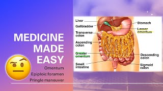 Omentum Omental foramen Pringle Maneuver  fast and easy  MEDICINE MADE EASY [upl. by Loferski]