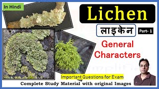 लाइकेन की सामान्य विशेषताएँ । Lichen general characters  Crustose  Foliose  Fruticose  Part 1 [upl. by Airotna927]