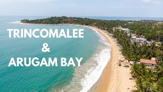 Trincomalee and Arugam bay [upl. by Lynnworth]