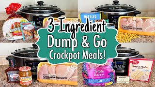 6 DUMP amp GO CROCKPOT DINNERS  The BEST Quick amp EASY 3INGREDIENT Slow Cooker Meals  Julia Pacheco [upl. by Normy281]