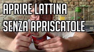 Come APRIRE una LATTINA SENZA APRISCATOLE  Tutorial [upl. by Alvan]