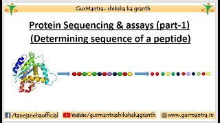 PROTEIN SEQUENCING amp ASSAYS  N amp C TERMINAL AMINO ACID ANALYSIS  PART1 [upl. by Tavia323]