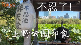 东京上野公园及周边地区的印象 ｜日本旅行 7｜ Impression of Ueno Park at Tokyo [upl. by Neeka356]