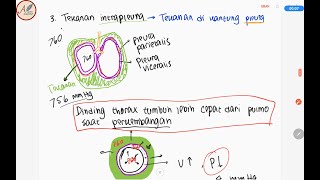 Fisiologi Respirasi  Tekanan Intrapleura dan Patofisiologi Pneumothorax [upl. by Ayisan]