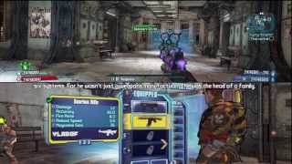 Borderlands 2 Tiny Tinas Assault On Dragon Keep Heads and Skins for free [upl. by Eclud]