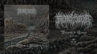 MORTIFERUM  Exhumed From Mortal Spheres official audio [upl. by Eatnwahs]