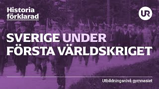 Första världskrigets orsaker [upl. by Ailalue]