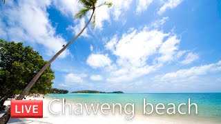 🔴 Livestream Chaweng beach Koh Samui  Virtual Walking tour  Streets of Thailand [upl. by Atews]