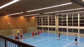 DAS Tor des Spieles BSV Bern Muri 2 vs HV Herzogenbuchsee [upl. by Acalia307]