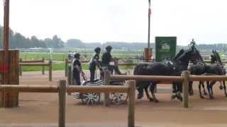 Colman Mena Ernesto URU CH M A4 Alltech FEI WEG Caen Normandy FRA 2014 Marathon O 1 06 09 2014 [upl. by Witte185]