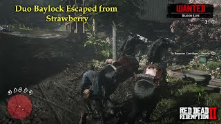 Red Dead Redemption 2  Duo Baylock Escaped from Strawberry RDR2 Badass Black Missouri Fox Trotter [upl. by Polard]