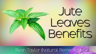 Jute Leaves Benefits amp Uses Saluyot [upl. by Cid190]