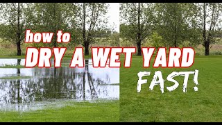 How To Build and Install the BEST Yard Drain French Drain 2 Great Systems Combined [upl. by Uriia740]