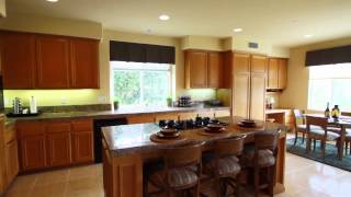 Conrad Real Estate  424 Camino Vista Verde San Clemente CA 92672 [upl. by Hsaniva637]