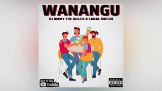 Dj Ommy The Killer X Canal Mjeuri  Wanangu  Singeli Michano [upl. by Svend]