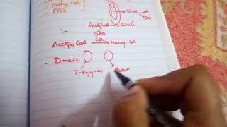 FATTY ACID SYNTHESIS in easiest way part 1introduction [upl. by Atinat]