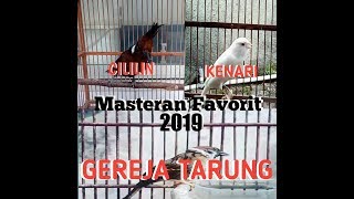 MASTERAN Kompilasi Burung CILILIN KENARI dan GEREJA TARUNG [upl. by Etnoid]