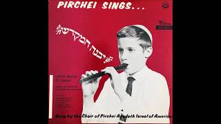 Pirchei Sings יבנה המקדש [upl. by Ahsietal]