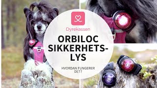 Hvordan fungerer Orbiloc sikkerhetslys  Dyrekassenno [upl. by Warp24]