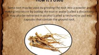 Suma Root Basics  How it helps [upl. by Atat975]