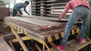 PLYWOOD FACTORY plywood plywood companiAsia No1 ply wood industry [upl. by Hertz]