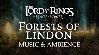 Lord of the Rings  Elven Realm of Lindon Music amp Ambience Rings of Power with ASMR Weekly [upl. by Ynneh286]