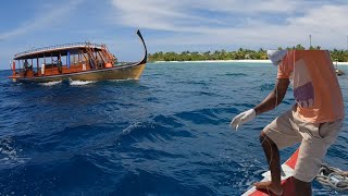 Some brackish water action bridgefishing fishing shortsviral shorts views [upl. by Nojed]