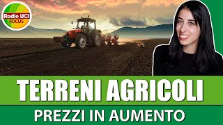 🚜TERRENI AGRICOLI IN VENDITA🚜 Aumentano i prezzi ma scende il valore – I dati CREA [upl. by Burleigh815]