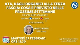 ATA dagli organici alla terza fascia cosa è previsto nelle prossime settimane [upl. by Isidoro]