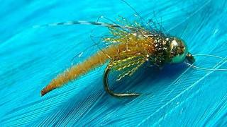 Tying a Detached Bodied Caddis Pupa with Davie McPhail [upl. by Cheshire160]