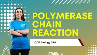 Polymerase Chain Reaction  QCE Biology 3amp4 [upl. by Iahc956]