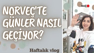 NORVEÇ TE GÜNLER NASIL GEÇİYORKIŞIN NASIL ISINIYORUZ NORVEÇÇE ONLINE KURSUM HAKKINDA BİLGİvlog93 [upl. by Florine430]