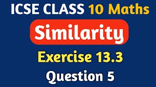 ICSE Class 10 Similarity  Chapter 13 Exercise 132  M L Aggarwal ICSE Class 10  Question 4 amp 5 [upl. by Thecla]