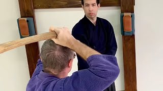 Using a BOKKEN Yokomen sword training basics for AIKIDO PART 2 [upl. by Madlen]