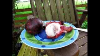 Mangosteen Tasting  Tropical Fruit [upl. by Ruckman]