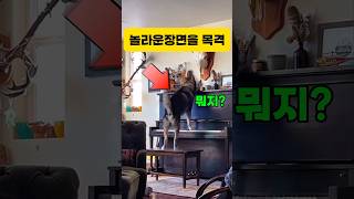 보고도 믿지못할 장면 이게 무슨소리지 클래식 피아노 piano 일미터클래식 music 즐거운영상 [upl. by Erickson]