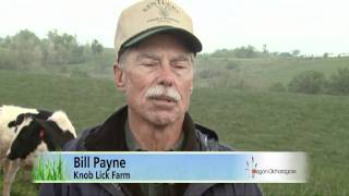 Growing Orchardgrass for Forage [upl. by Cut]