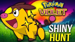 Shiny Hunting Pokemon in Pokemon Violets Indigo Disk DLC [upl. by Gates]