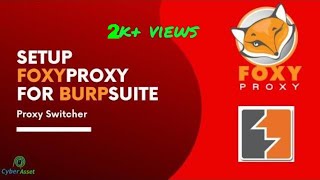 How to Setup Foxy Proxy  Burp Suite  Proxy Switcher  Firefox [upl. by Jyoti]