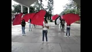 Ensayo  Banderas Leones Marching Band  23Jun2013 [upl. by Nilesoj]