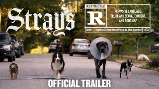 Strays  Official Fing Trailer HD [upl. by Halik]