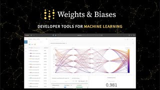 Weights and Biases Product Overview [upl. by Rozalie]