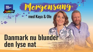 Danmark nu blunder den lyse nat  Morgensang [upl. by Marysa]