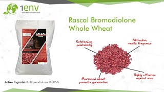 Rascal Bromadiolone Whole Wheat Informational Video [upl. by Catton]