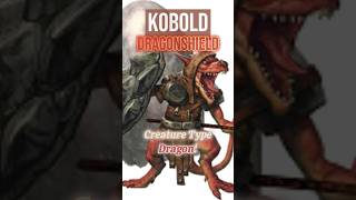 Kobold Dragonshields Kobolds that are classified as Dragons [upl. by Amirak]