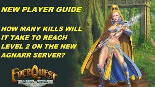 EVERQUEST GUIDE  How many solo kills will it take to reach level 2 on Agnarr 1080p [upl. by Meerek]