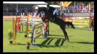 Diamond B Vermont  Gawler World Cup [upl. by Jania427]