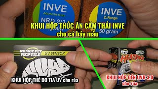 Khui hộp đèn Nomoy UVB 30 và thẻ đo tia UV cho rùa thức ăn INVE Thái cho cá bảy màu  Ba Con Rồng [upl. by Ritz]